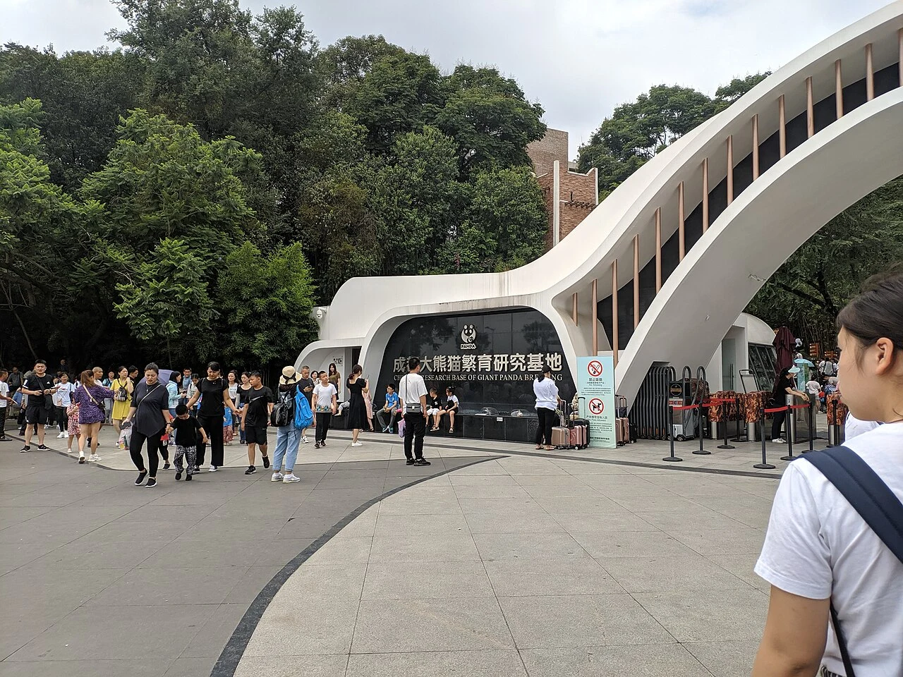 成都大熊猫繁育研究基地,摄于2019年;不对应某一处住处。